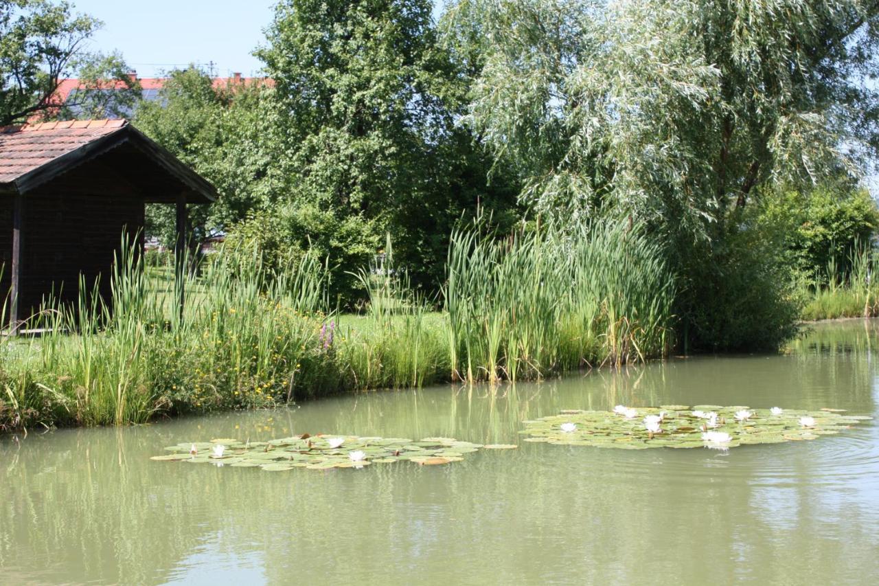 Gasthof Koller Mariasdorf Екстериор снимка